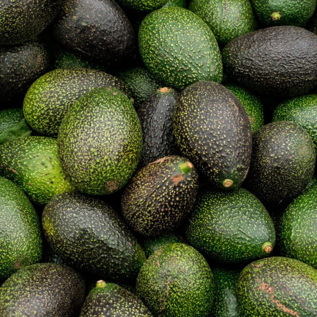 Hass Avocado