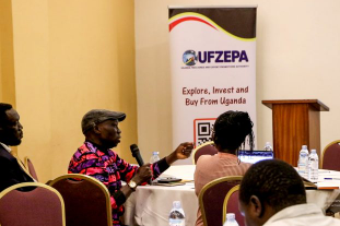 UFZEPA adopts a special economic zones approach for the export promotion